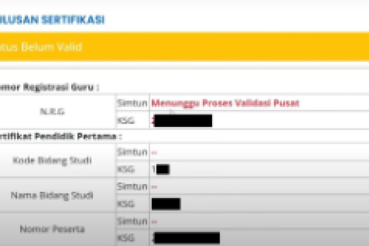 Perbedaan SIMTUN dan KSG Februari 2025 di Info GTK, Langkah Tepat Para PPG Untuk Validasi Data