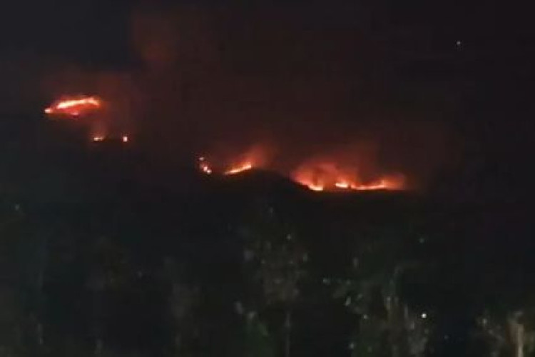 Kebakaran Hutan Gunung Sumbing Meluas hingga 100 Hektare Karena Dampak Karhutla, Ratusan Personel Bersiaga