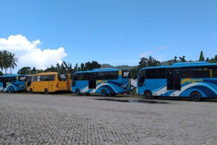 Harga Tiket Bus Makassar Gorontalo Terbaru 2025, Tersedia Banyak Pilihan PO Hingga Jadwal Perjalanan