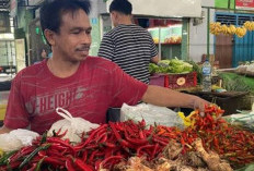 Harga Cabai dan Daging Ayam Melonjak , Indeks Harga Pangan Nasional Naik Menembus Angka 5% yang Dipicu Kemarau El Nino