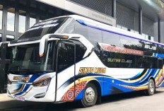 Daftar Bus Makassar-Gorontalo PP Terbaik 2025, Miliki Fasilitas Lengkap dan Berpengalaman