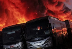 PO Sinar Jaya Kebakaran, Prihatin! 50 Bus Hangus dan Kerugian Masih Didata