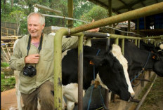 Siapa Pemilik Dago Dairy? Owner Bagikan Alasan Penutupan Peternakan Sapi Perah Legendaris Tersebut!