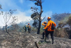 Pendakian Semeru Kebakaran, Jalur TNBTS Ditutup Sementara Hingga Waktu Tak Ditentukan!