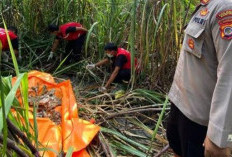 Geger Penemuan Jasad Tinggal Tengkorak Tanpa Identitas di Semak-Semak Lahan Bantul, Polisi Periksa Saksi dan Cari Identitas