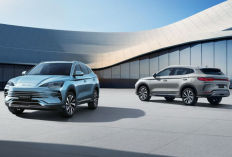 Deretan Mobil Listrik Terlaris Mei 2025, Akankah BYD Sealion 05 EV Menang Persaingan?