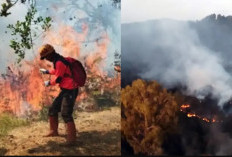 Imbas Kebakaran Jalur Pendakian Semeru, 172 Pendaki Dievakuasi Hingga Pemadaman Dilakukan dengan Water Bombing