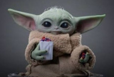 Bukan Makhluk Force! Droid 99-99 Resmi Diperkenalkan Jadi Penerus Populer Grogu