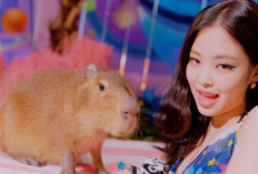 Bintang Tamu MV Terbaru Jennie BLACKPINK Menjadi Viral, Teman Berbulu yang Sangat Gemas Sukses Curi Perhatian K-Netz