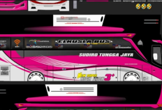 Kumpulan Rekomendasi Livery BUSSID Yudhistira SHD Terbaru 2025, Paling Jernih dan Full Strobo