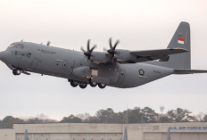 Intip Spesifikasi C-130 Hercules, Pesawat Angkut Militer Indonesia yang Gagah Terbang di Segala Cuaca