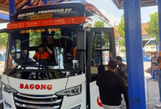 Jadwal Bus Bagong Rute Malang-Ponorogo PP 2025, Mudik Lebih Nyaman dengan Armada Lebih Aman