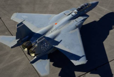 Indonesia Boyong Jet Tempur F-15EX Untuk Memperkuat Pertahanan, Negosiasi Tarif dengan Amerika Serikat Masih Berlangsung