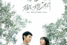 Sinopsis dan Link Nonton The White Olive Tree (2025) Full Episode Sub Indonesia, Percikan Cinta di Bawah Pohon Zaitun Putih